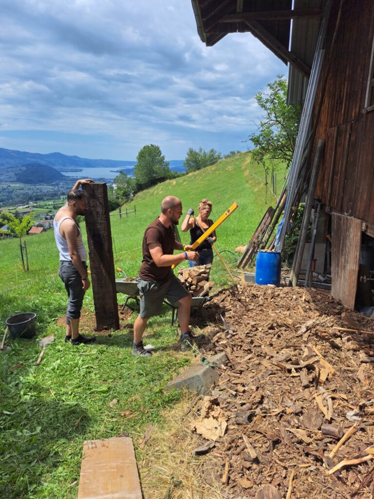 Bild des Stallumbaus für die beiden Schweine Rosi und Balu
