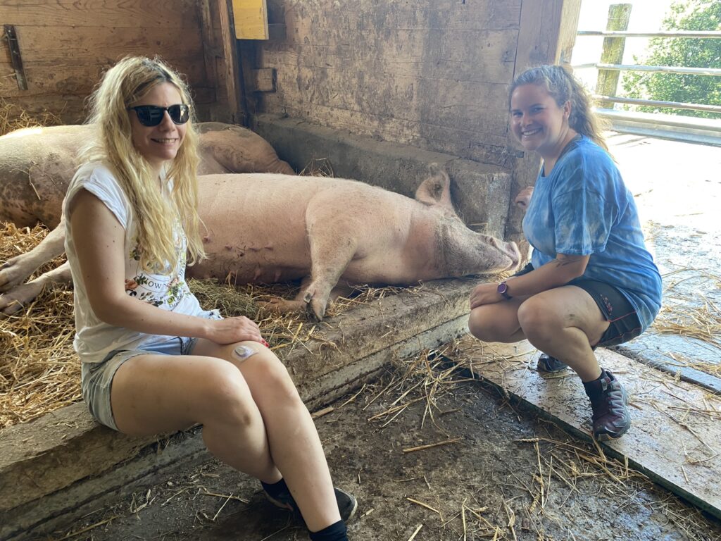 Bild der Schweine Balu und Rosi sowie Daphne Chaimovitz und Sara Kaufmann