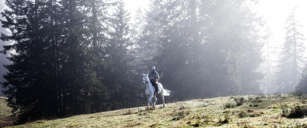 Bild aus dem Film «Tell - Jagd auf Ewig»