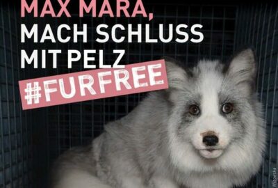 Bild der Kampagne gegen Max Mara von VIER PFOTEN