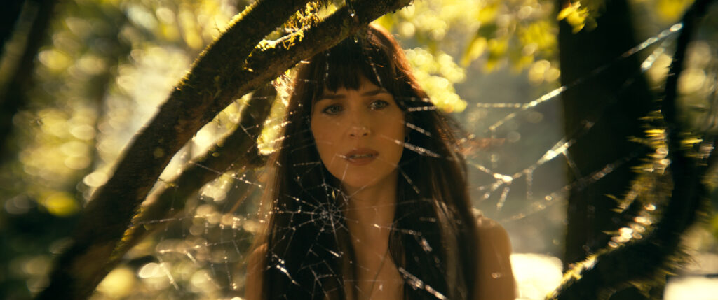 Bild aus dem Film «Madame Web»