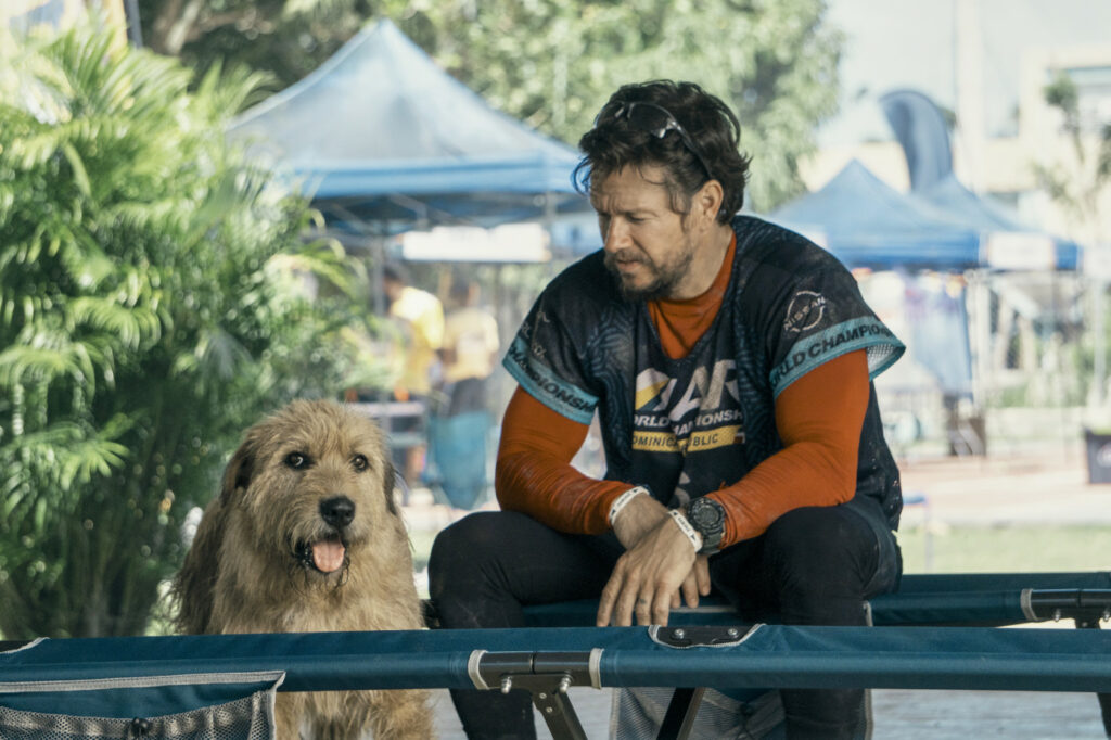 Bild aus dem Film «Arthur the King»