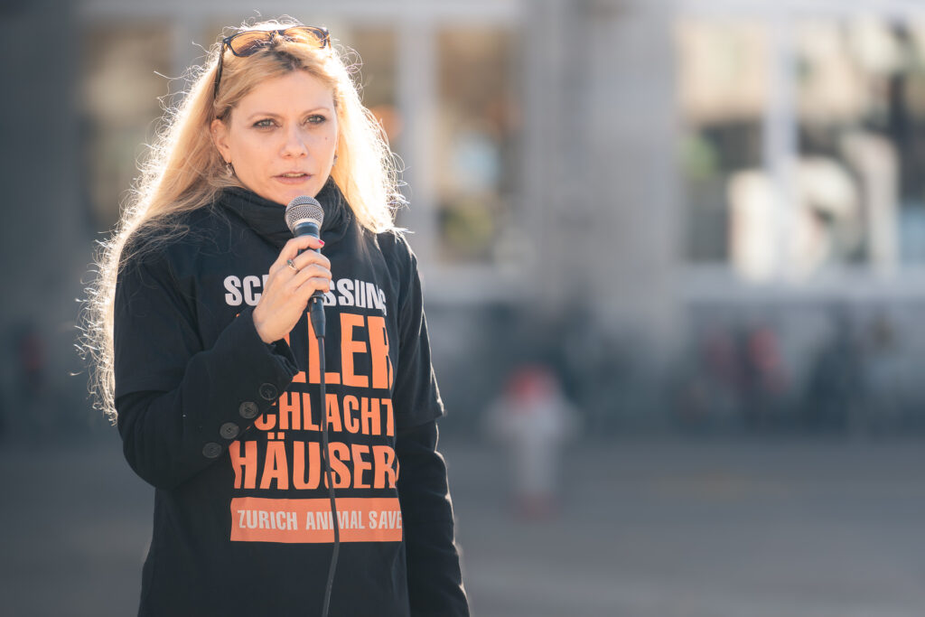 Bild von Daphne Chaimovitz