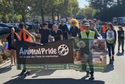 Bild von der Animal Pride Day