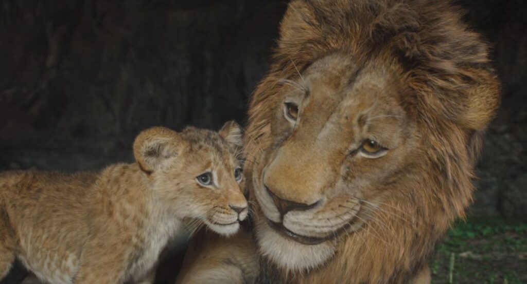 Bild aus dem Film «Mufasa: The Lion King»