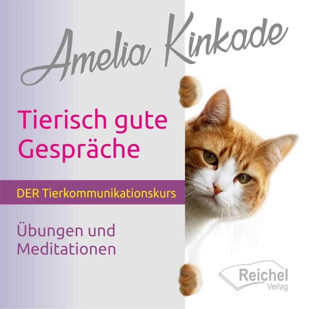 Bild des Buches von Amelia Kinkade