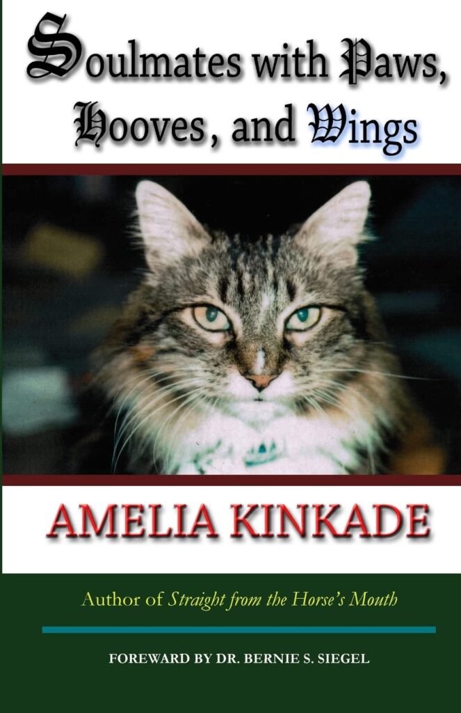 Bild des Buches von Amelia Kinkade