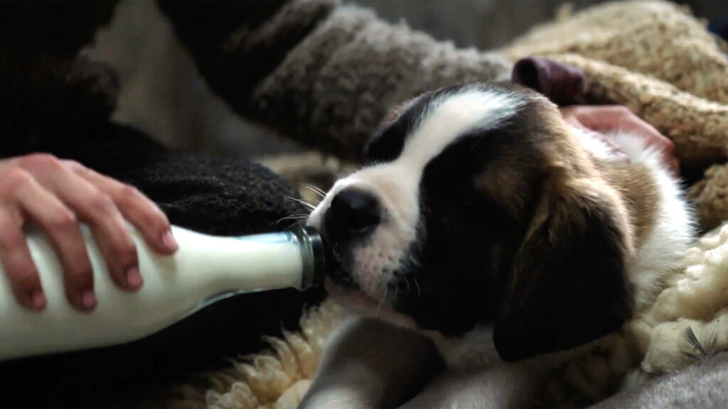 Bild aus dem Film «Mein Freund Barry»